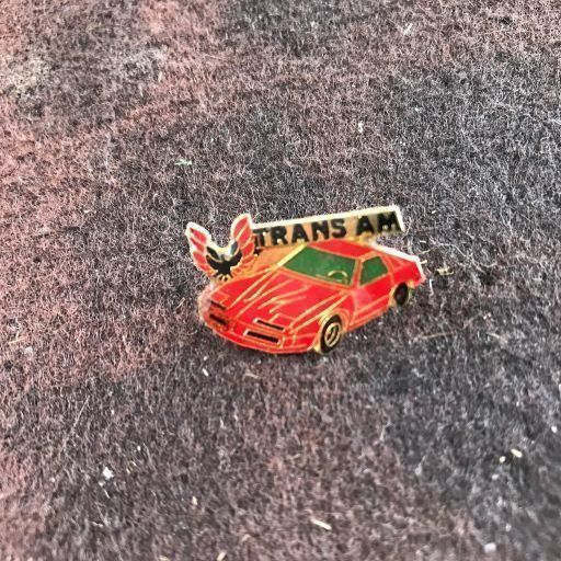 PIN TRANS AM (Gebraucht) in Ostermundigen für CHF 1.1 – mit Lieferung ...