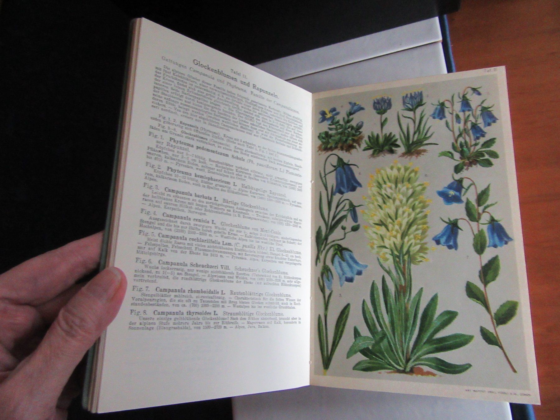Bücher: Alpenflora - Taschenflora des Alpen Wanderers, L. Schröter – Gebraucht aus Wattwil von wampi 9