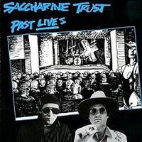 Saccharine Trust – Past Lives