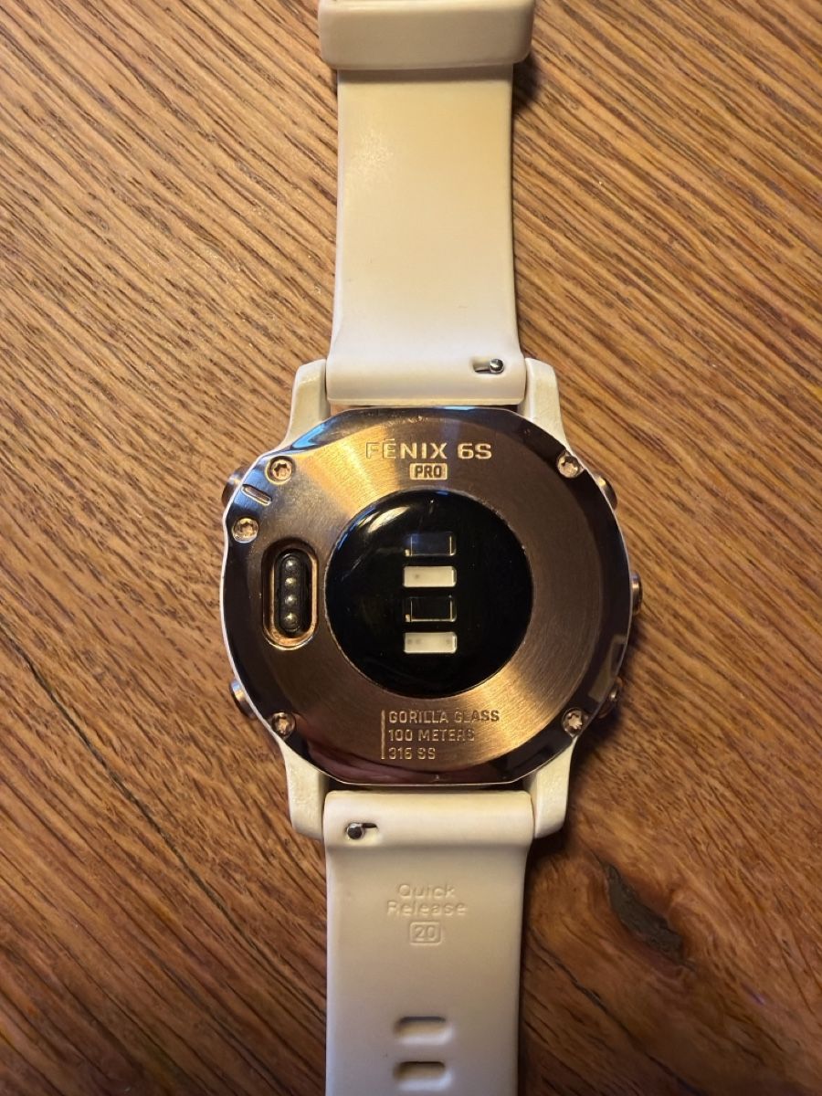 Garmin Smartwatch: Gaemin Fenix 6S Pro – Usato da Samedan venduto da laurigna 2