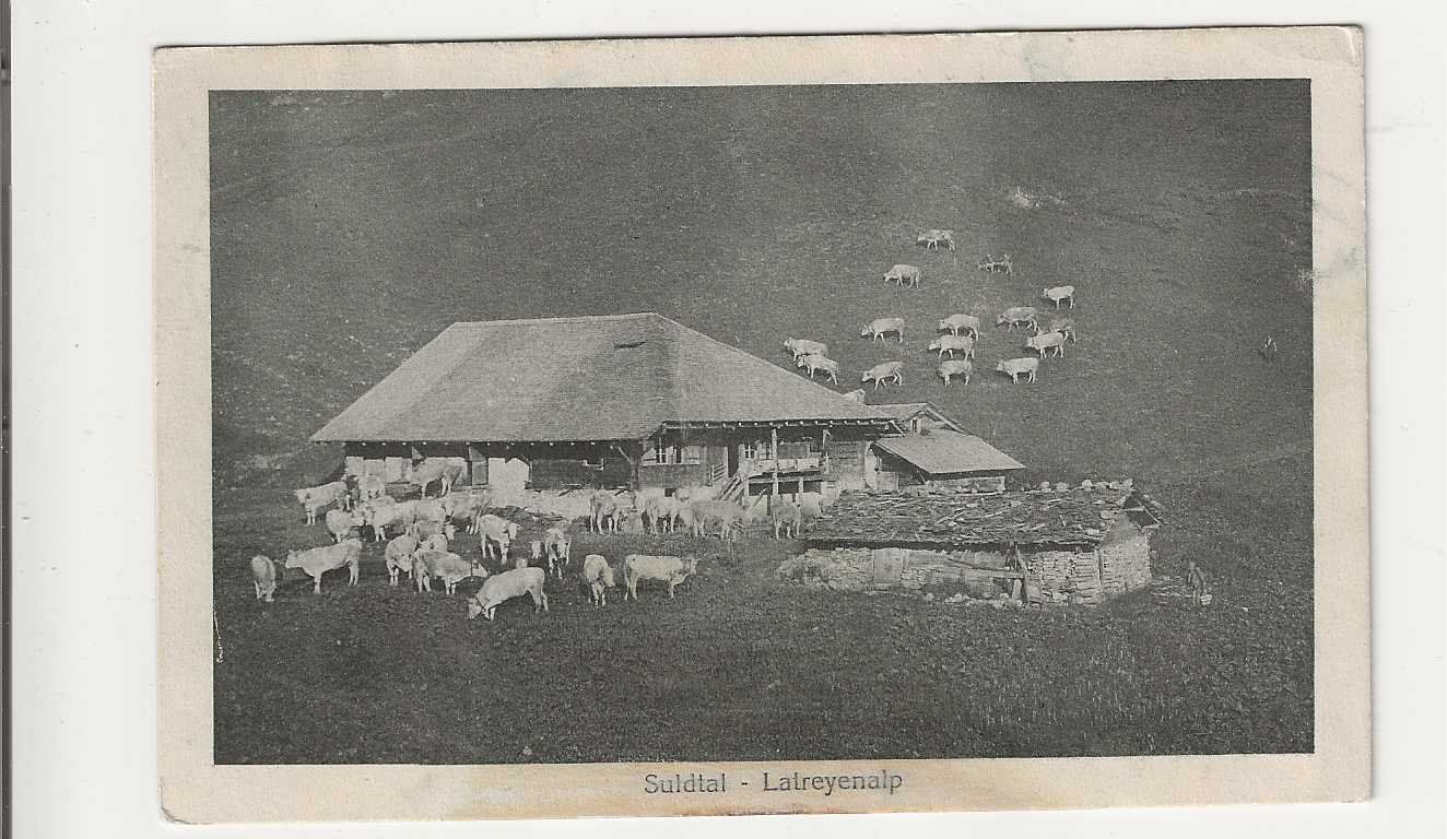 Ansichtskarten: Aeschi/Suldtal/Latreyenalp, 1917 – Gebraucht aus Spiez von Niesen20
