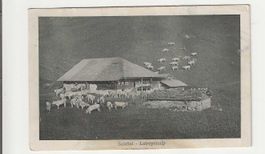 Aeschi/Suldtal/Latreyenalp, 1917