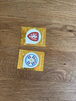 Panini 26