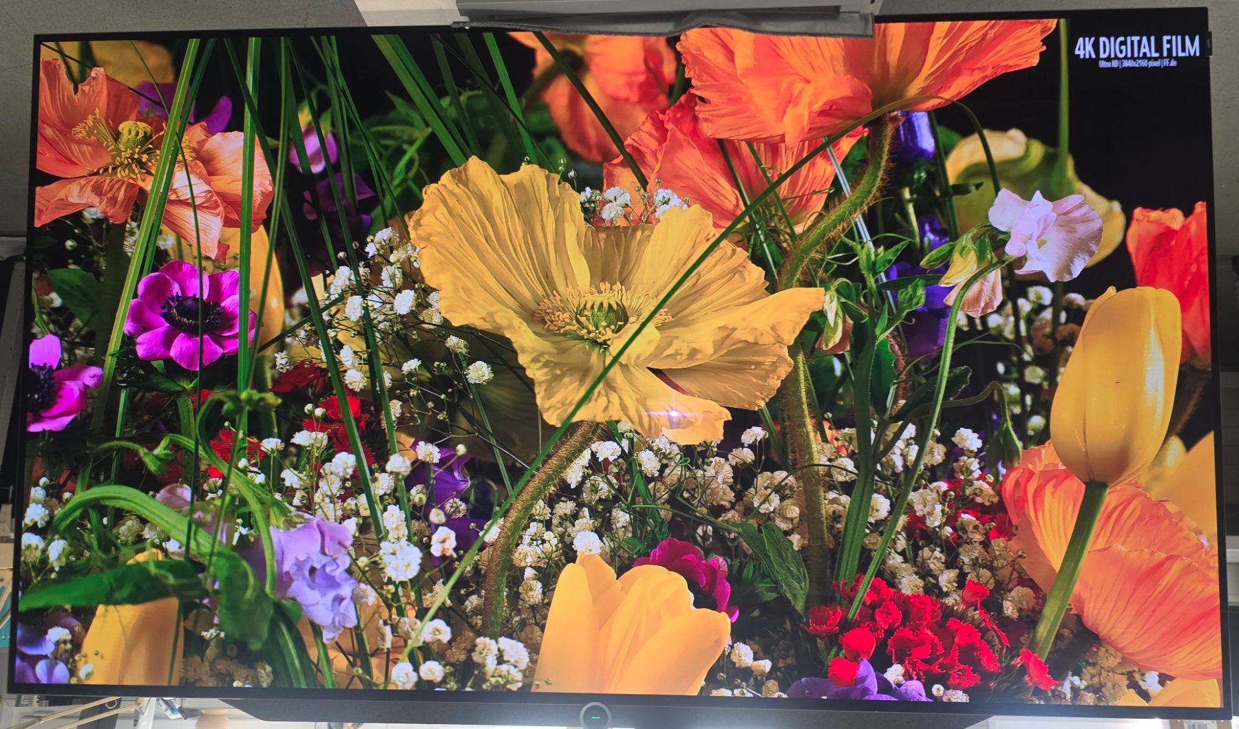 Loewe Fernseher: loewe bild 7.77 – Gebraucht aus Einsiedeln von patsteiner74