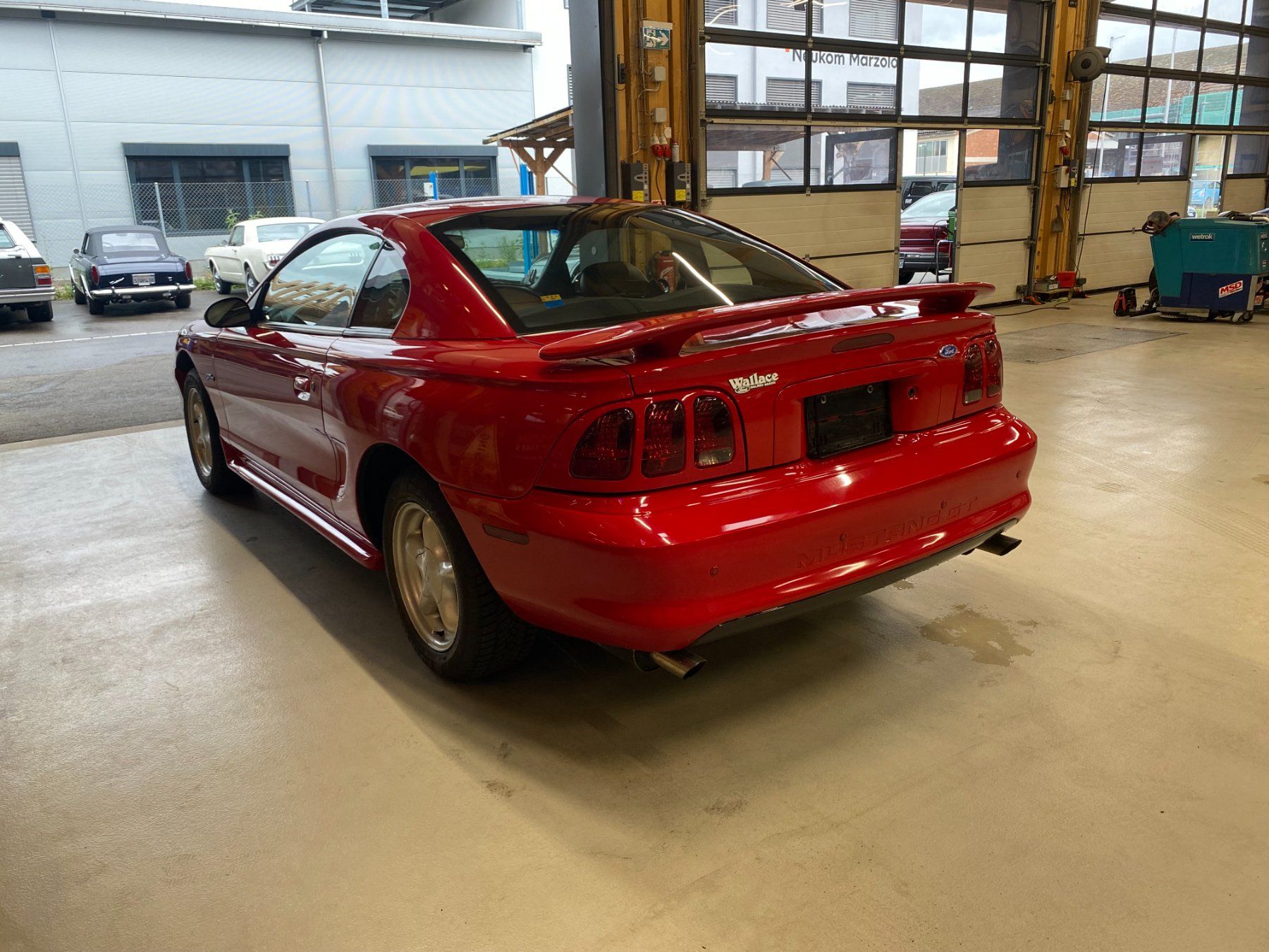 Ford (Usa) Automobili: Ford Mustang GT – Usato da Rafz venduto da CuCaRafz 6