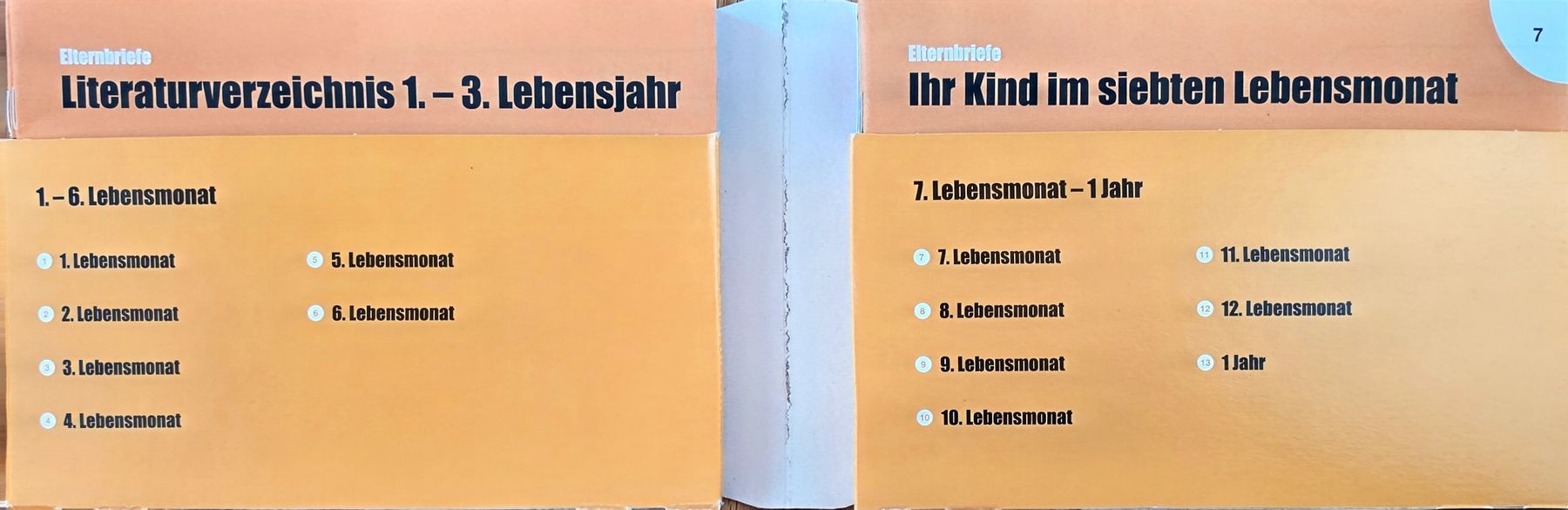 Libri: Elterbriefe 1.Lebensjahr Projuventute – Usato da Eglisau venduto da naminaso 1
