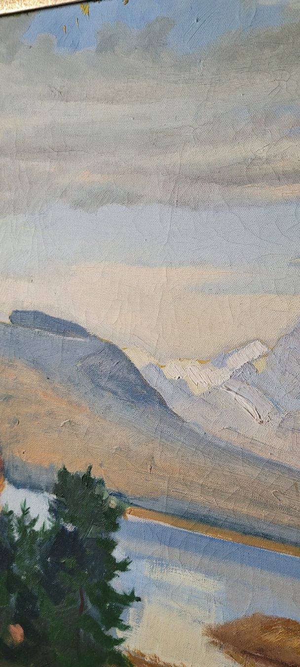 Dipinti: Ölgemälde G. Schilling                87x 76cm – Usato da Schönenwerd venduto da rosamanda 8