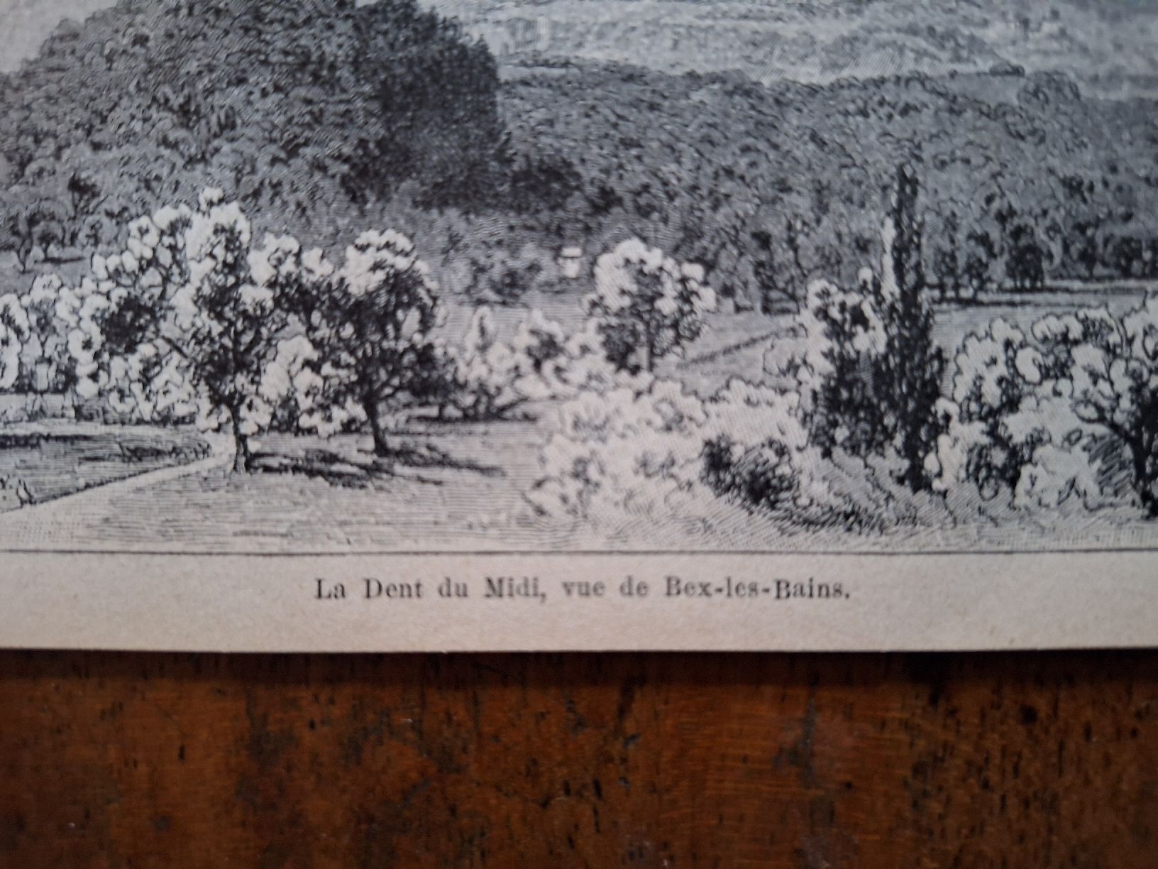 Stiche: DENTS DU MIDI DE BEX-LES- BAINS – Gebraucht aus Bevaix von bohrap 1