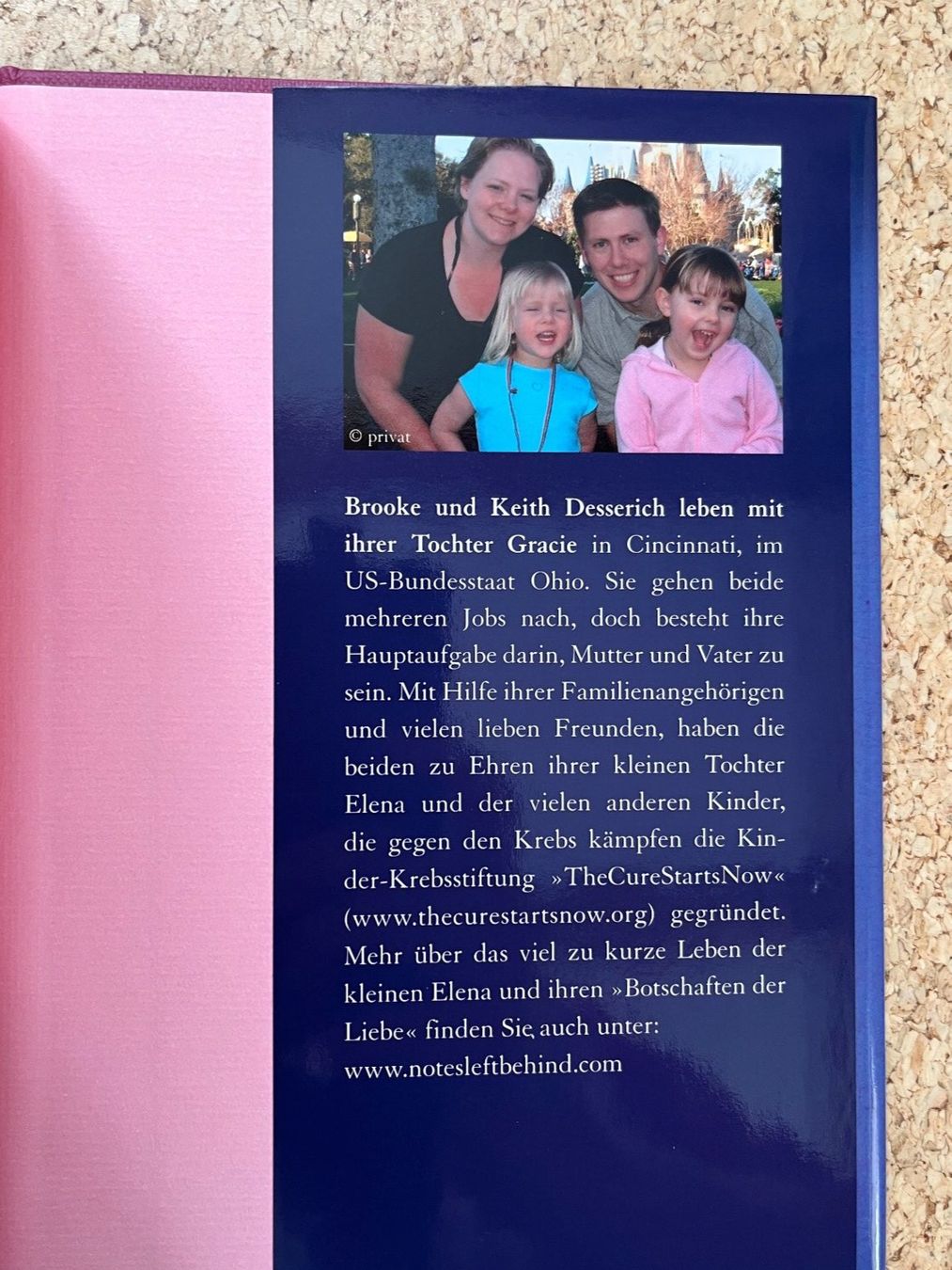 Bücher: Buch "Sie malte ein Lächeln in unsere Herzen", Desserich – Gebraucht aus Grosswangen von Vita500 3