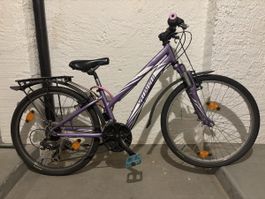 Fahrrad lila Specialized 26 Zoll defekter Sattel