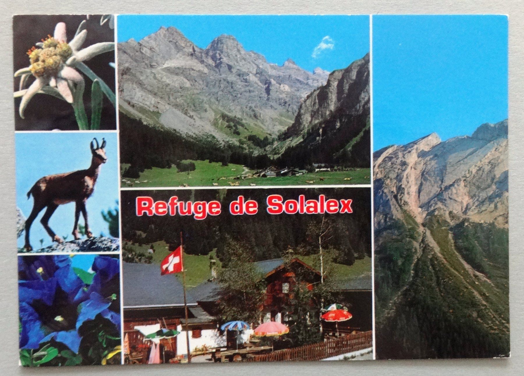 Cartes postales: Refuge de Solalex, Gryon – D'occasion à Fétigny par Billy2miny
