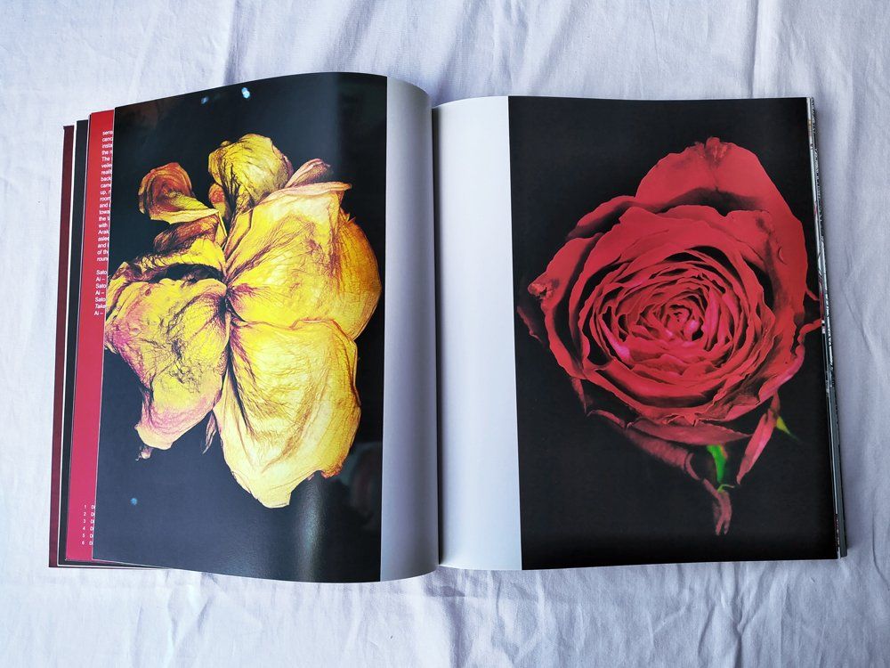 Libri: Nobuyoshi Araki : Viaggio Sentimentale – Usato da Morgins venduto da Laurentcorinne 4