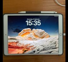 iPad Pro 10.5" (A1709), 256 GB, WLAN+Cellular, Roségold