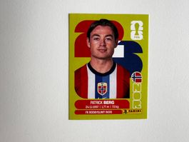 Panini Fussballkarte Patrick Berg Norwegen NOR 14