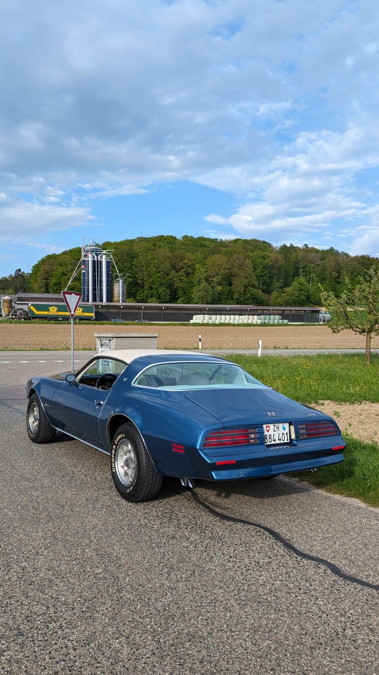 Pontiac Automobili: Pontiac Firebird Formula 400 – Usato da Dietlikon venduto da mrmister12304 2