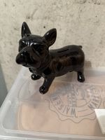 Hund Kässeli