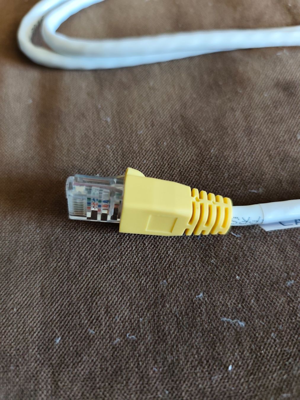 Cavi: Netzwerkkabel Cat. 5e / ca. 1.80 Meter / gebraucht – Usato da Zofingen venduto da noise123 1