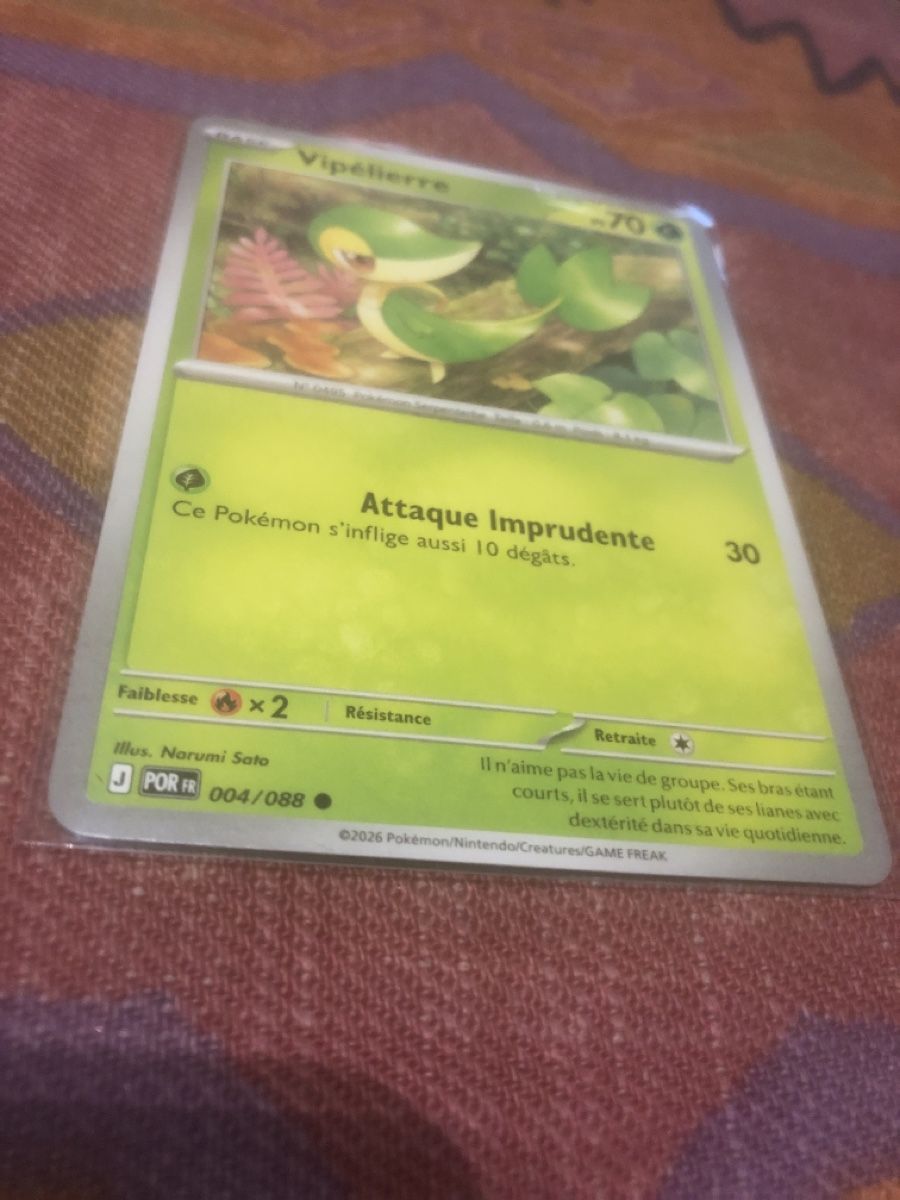 Pokémon Cartes à collectionner: Vipélierre (FR) – Neuf (Voir description) à Lausanne par fransadpop