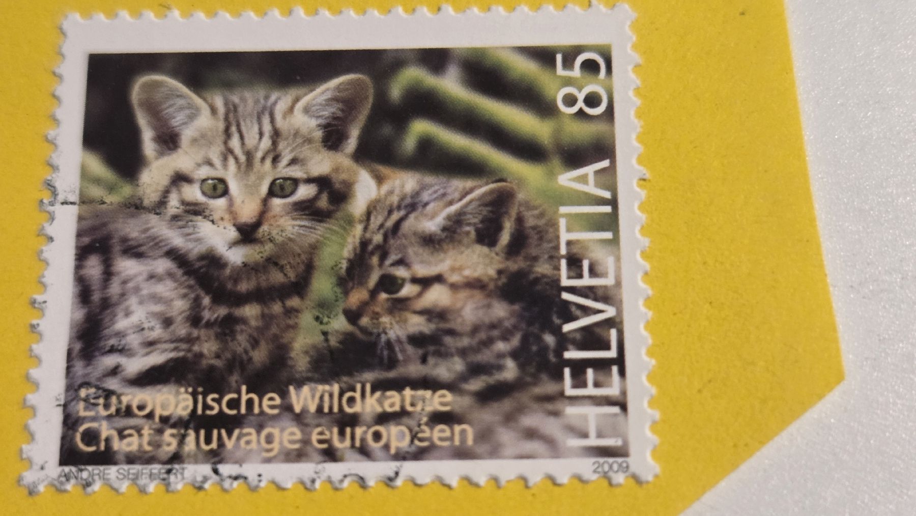 Tutti i francobolli: 2009 Abart Katze verschobenes Markenbild – Usato da Arni AG venduto da Moth68 1
