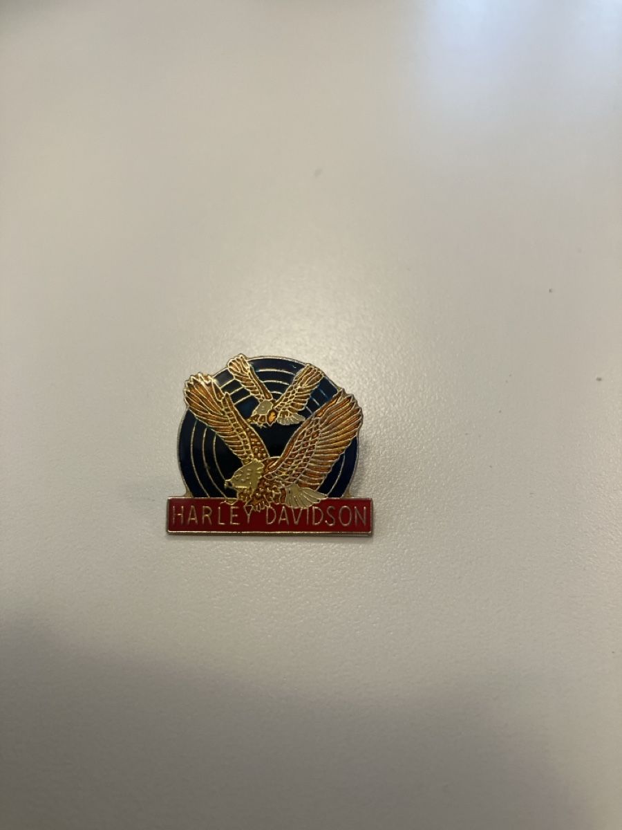 Placchette & Badge: Pin Harley Davidson – Usato da Eschlikon TG venduto da Urs.knopf
