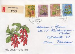 Pro Juventute FDC 29.11.1976 chargé 5400 Ennetbaden