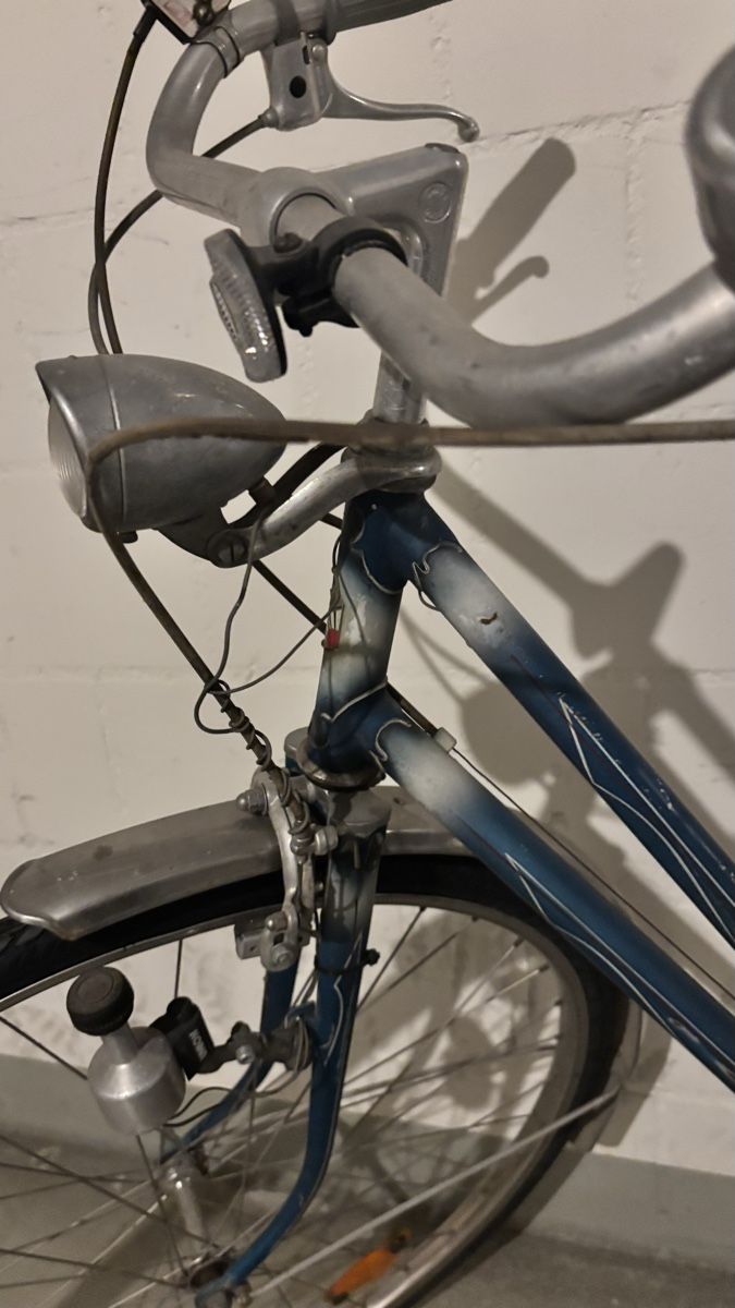 Mondia Biciclette: Altes Damenfahrrad  – Usato da Steffisburg venduto da nin_xg8h 2
