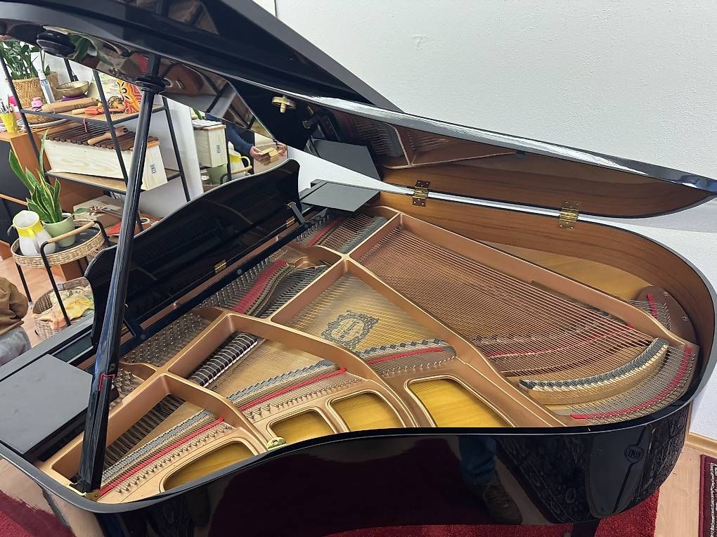 Strumenti musicali: Flügel Yamaha GP1  – Usato da Embrach venduto da CarlosTF 4