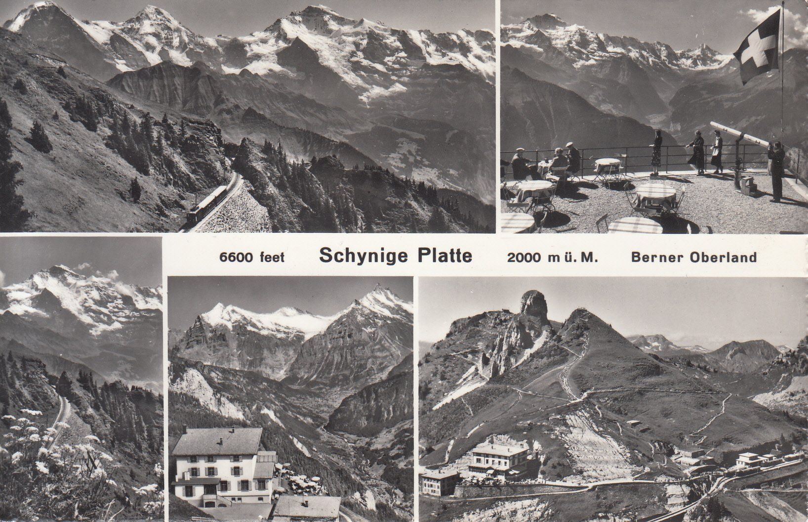 Cartoline postali: Schynige Platte 1960 – Usato da Bürglen TG venduto da StampGraf