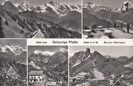Schynige Platte 1960