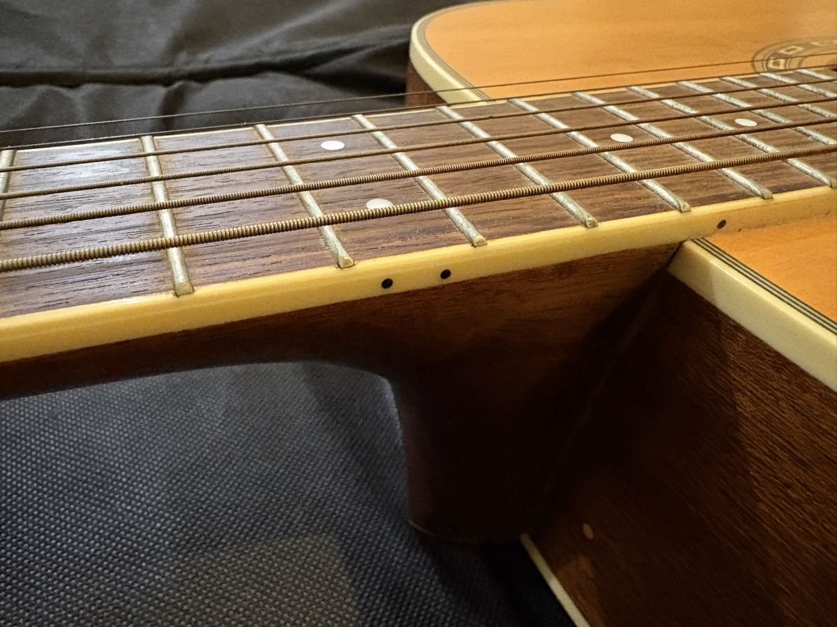 Washburn Strumenti musicali: Chitarra Washburn – Usato da Paradiso venduto da ago_yj79 6