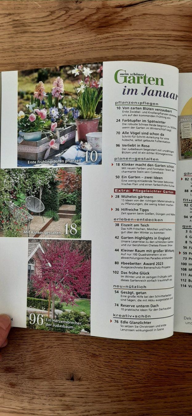 Riviste & Magazine: Mein schöner Garten Januar 2024 – Nuovo (secondo la descrizione) da Affoltern am Albis venduto da Sabinezc 1