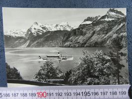 VIERWALDSTÄTTERSEE DAMPFSCHIFF " SCHYZ " 1964 LU AK