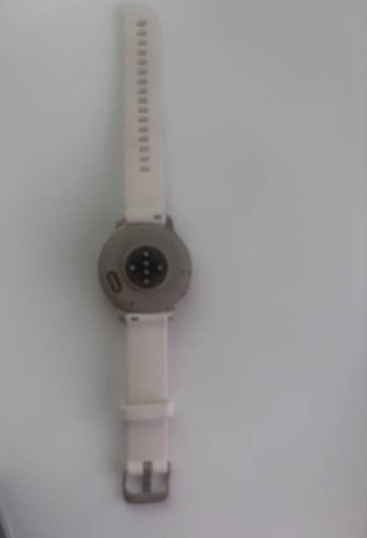 Smartwatch: Garmin Smartwatch Venu 4 – Usato da Immensee venduto da sim_9fdb 1