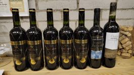 Paket 22 Flaschen Wein aus Spanien