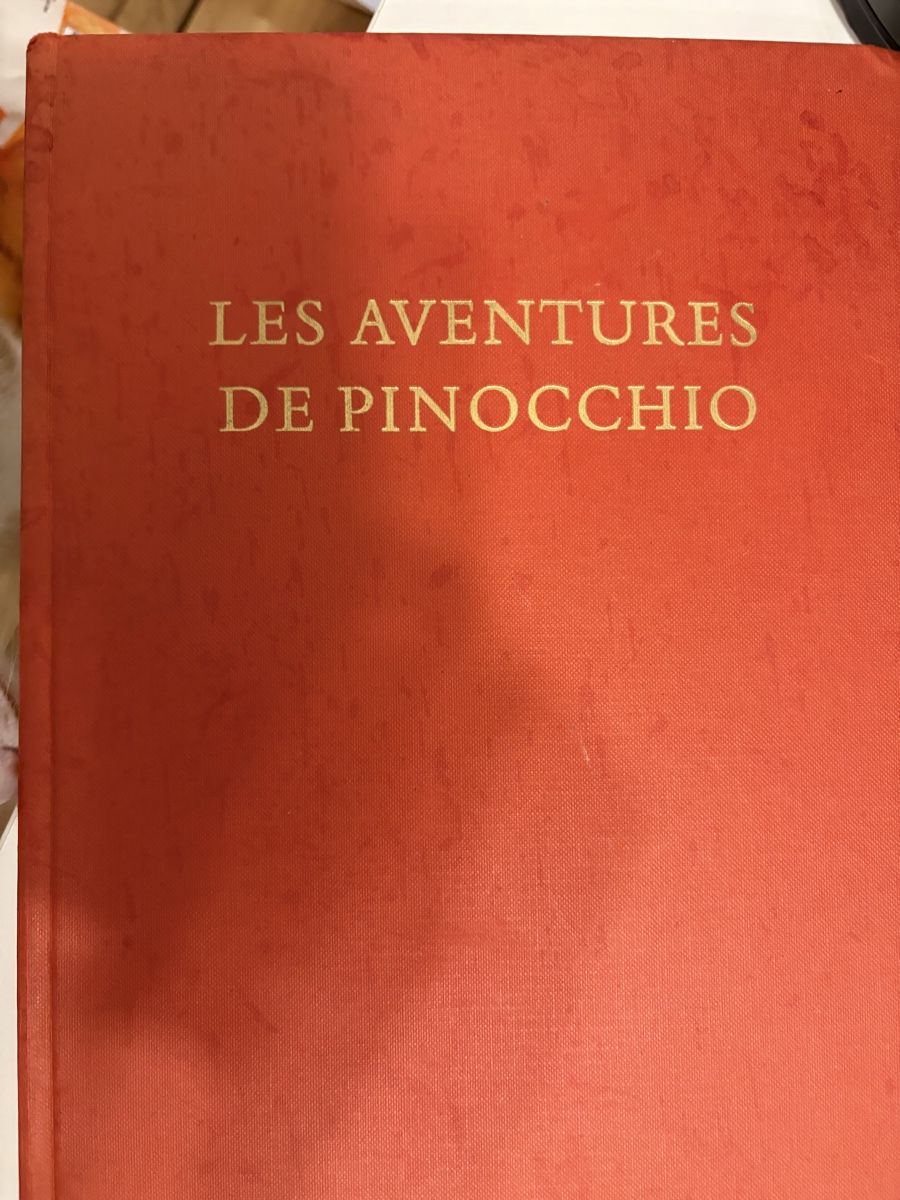 Libri: Aventures de Pinocchio, Carlo Collodi – Usato da Yverdon-les-Bains venduto da Livia.vtier