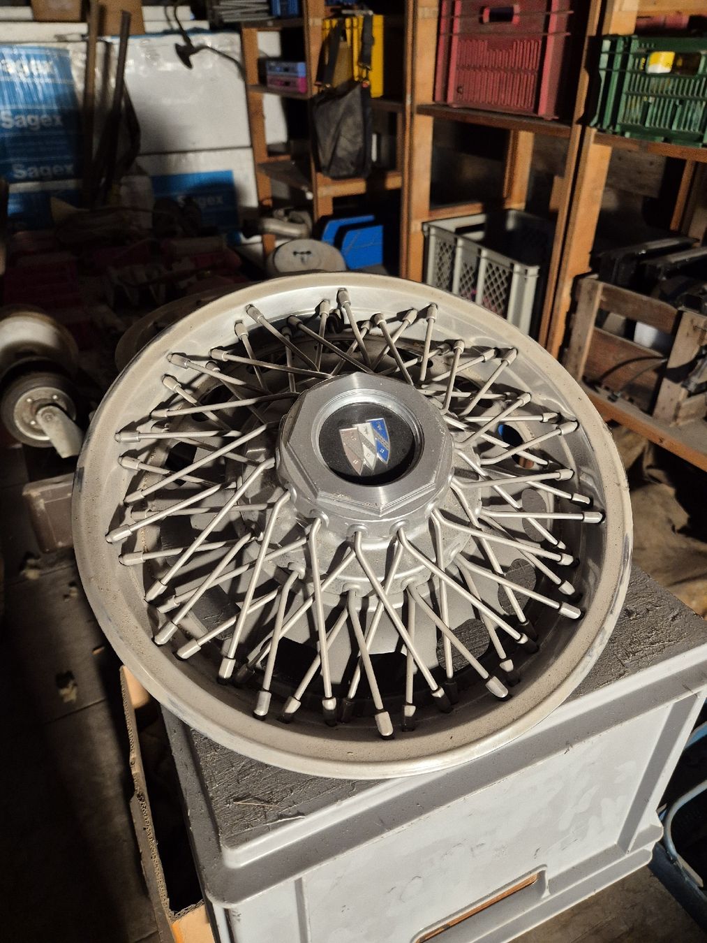 Buick Accessori per altri veicoli: Raddeckel Speichenimitat für BUICK – Usato da Menziken venduto da JosefK03