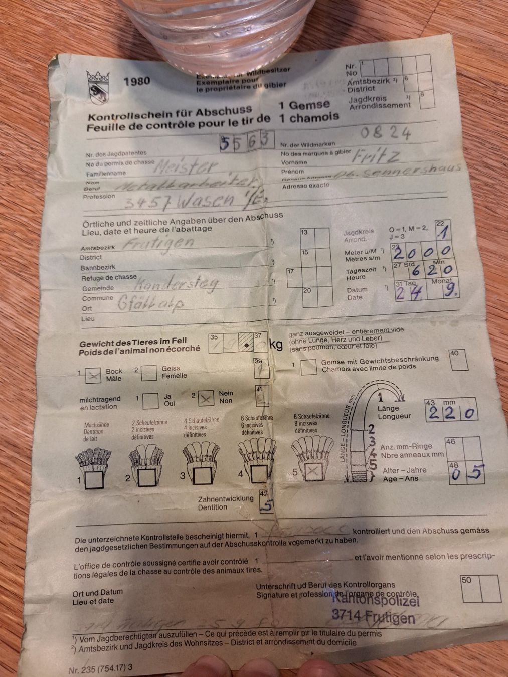 Sonstiges zum Sammeln & Seltenes: Gamsbock Trophäe – Gebraucht aus Obergoldbach von chr_cbp5 3