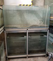 Regal mit 3 Aquarien