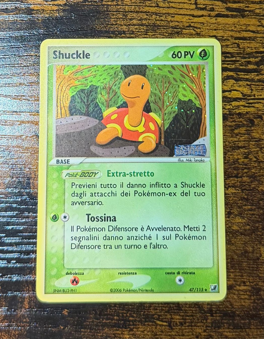 Pokémon Carte collezionabili: Shuckle Reverse Holo 47 – Usato da Zürich venduto da PEACECOCOON