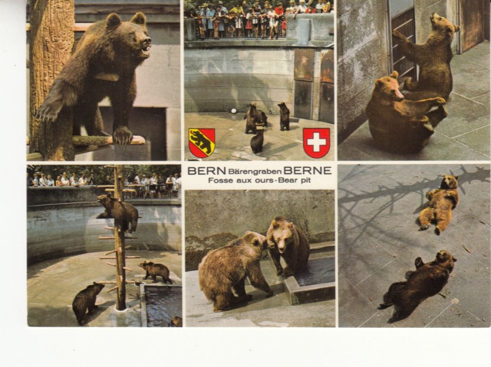 Ansichtskarten: Bern ca. 1970 – Gebraucht aus Bürglen TG von StampGraf