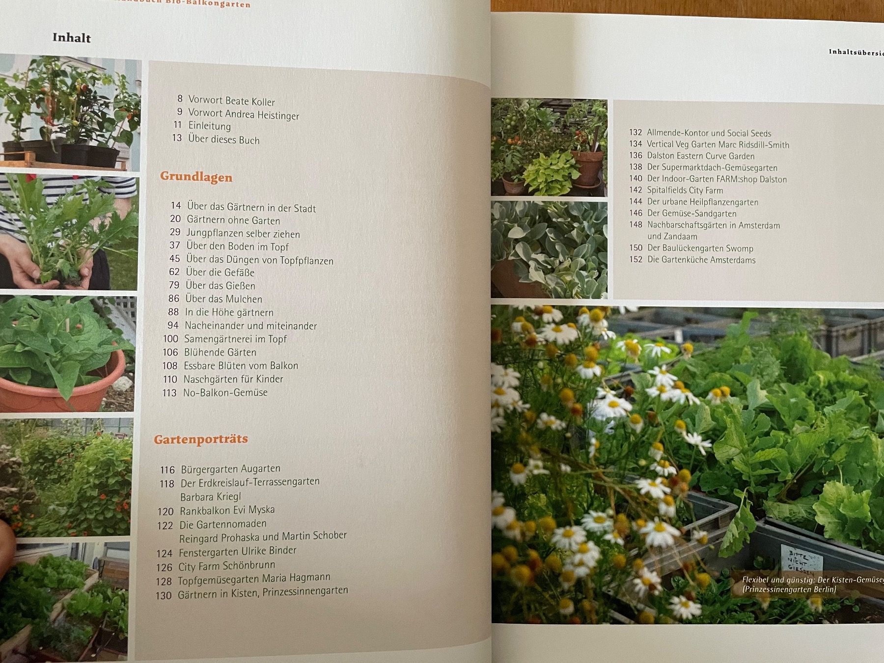 Libri: Handbuch Bio-Balkongarten – Usato da Zürich venduto da WWehrle 2