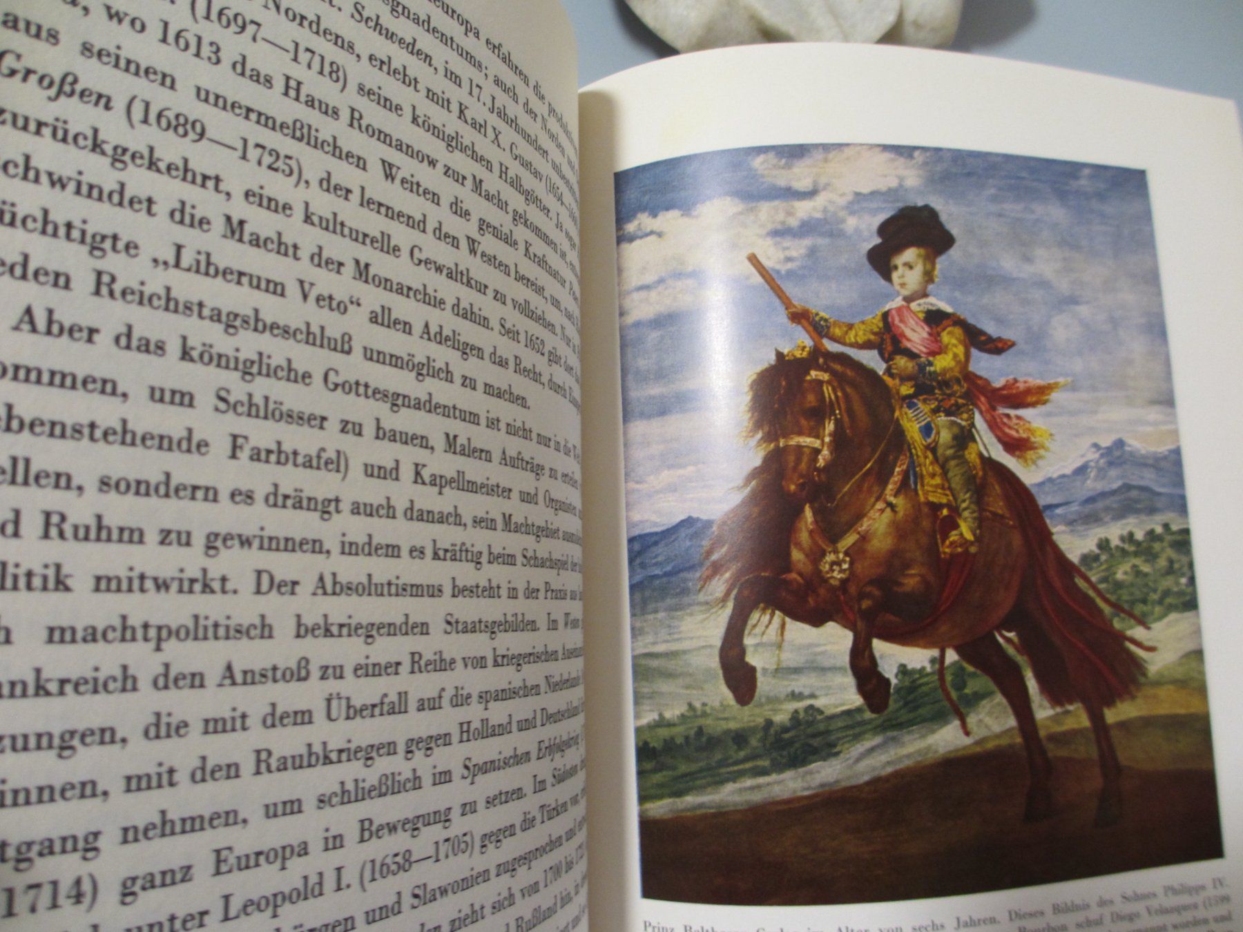 Libri: "Die Geisteswissenschaften" – Usato da Herisau venduto da fan_h9qj 1