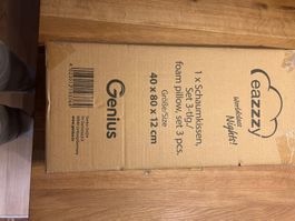 Genius Schaumkissen eazzzy 40x80x12 - neu
