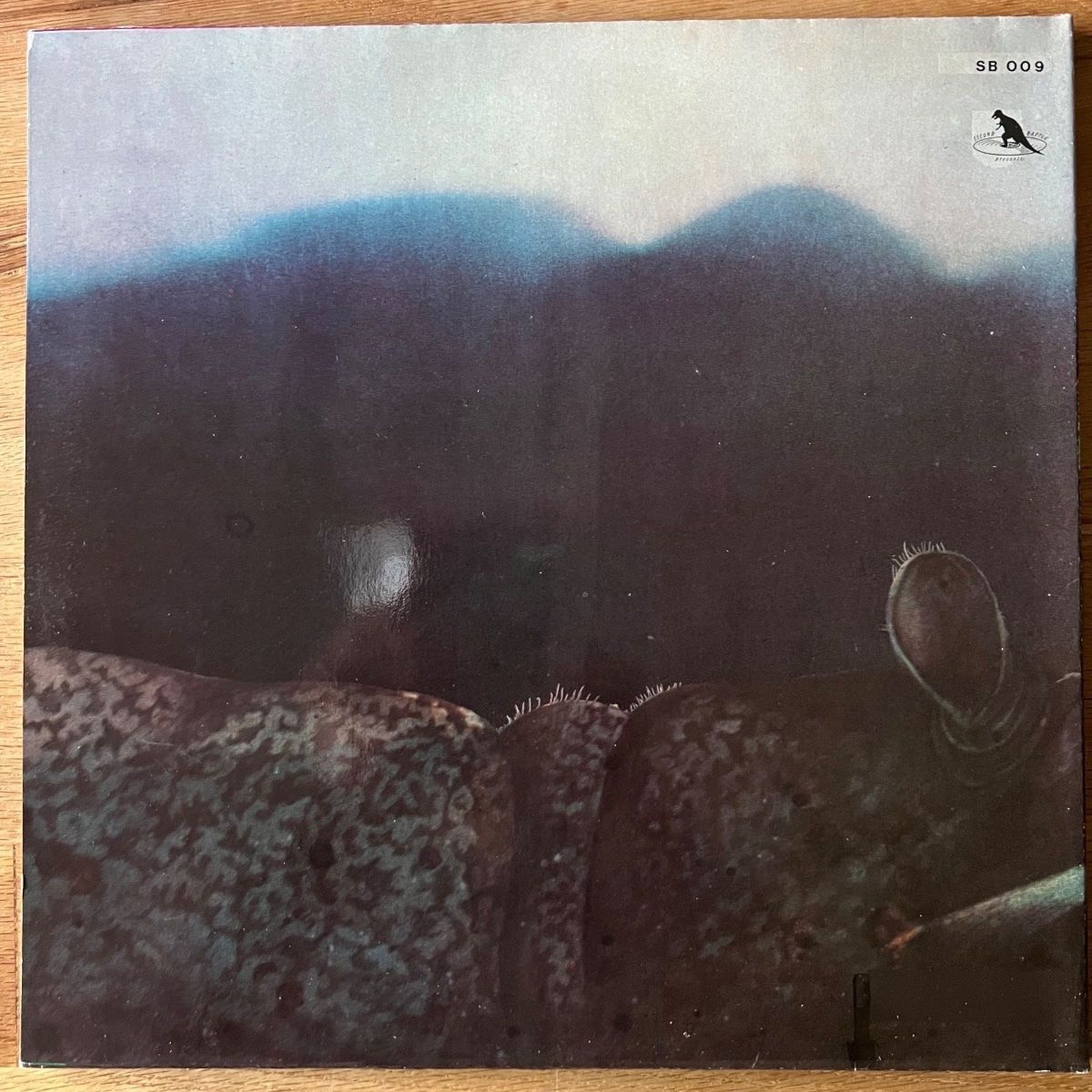 Schallplatten: Light Of Darkness - Same / D-Press. von 1990 - TOP – Gebraucht aus Gais von soundcave57 1