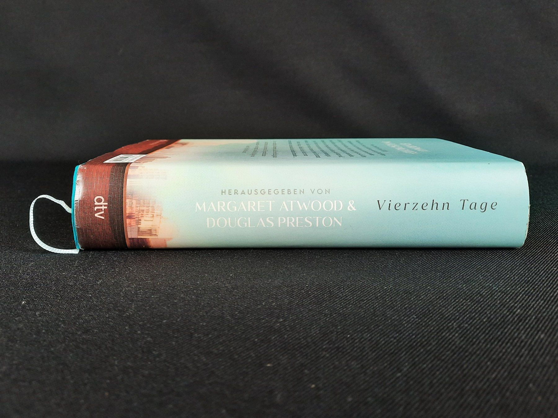 Libri: VIERZEHN TAGE Buch – Nuovo (secondo la descrizione) da Beinwil am See venduto da Restwert_Beinwil 2