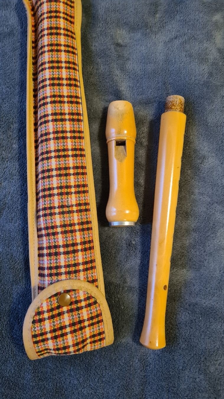 Strumenti musicali: flauta – Usato da Kriens venduto da nello-1 1