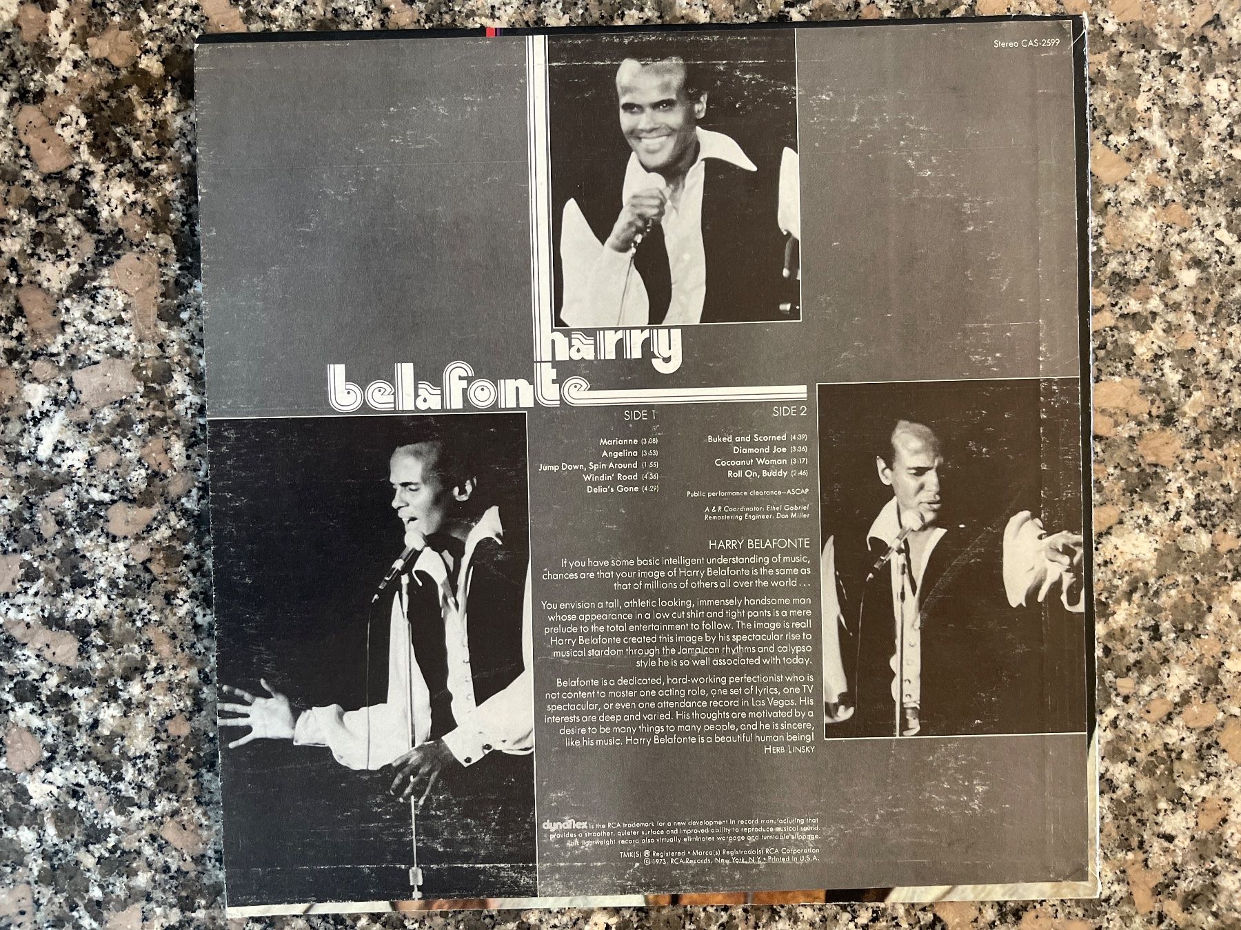 Dischi in vinile: A150/Harry Belafonte – Usato da Frutigen venduto da Philippe_jsp 1