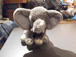 Elefant grau