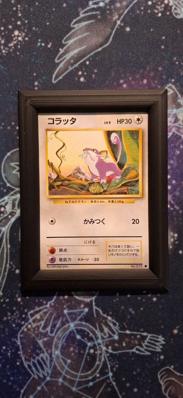 Pokémon Carte collezionabili: Rattata - 019 Expansion Pack JP – Usato da Petit-Lancy venduto da Kara_TCG