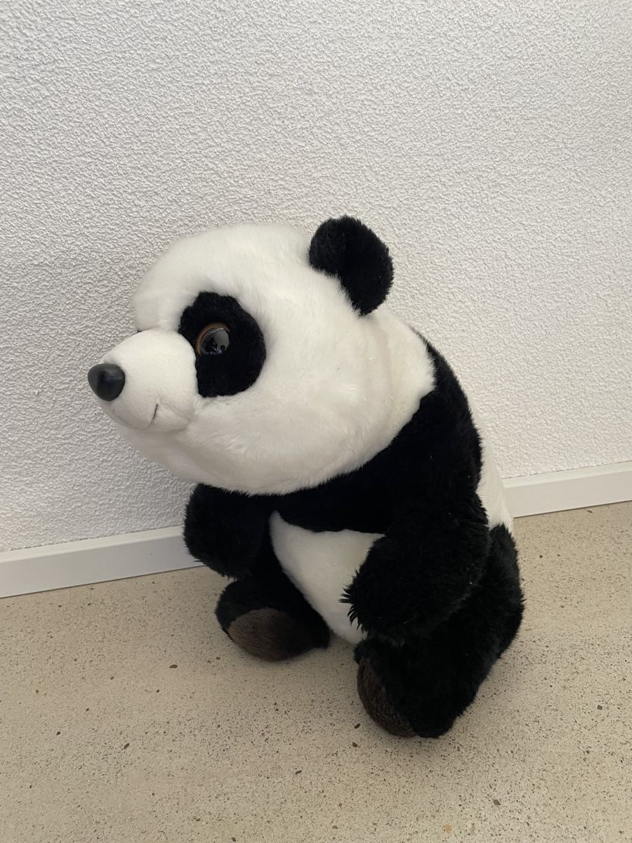 Giocattoli: Süsser Pandabär Plüschtier – Usato da Elgg venduto da jas_deb39